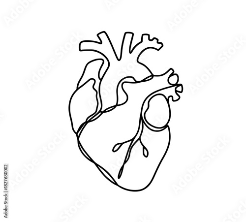 Minimalist one-line drawing human heart for medical designs and anatomical illustrations