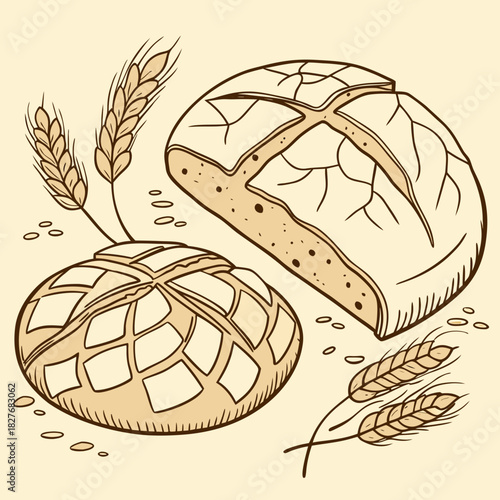 Freshly baked bread with wheat ears, food illustration