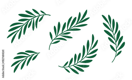 Olive branches, laurel twigs with leaves set