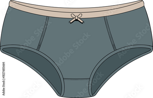 Grey Ladies Panty Fashion Flat Sketch, Technical Drawing Vector Template, Women Underwear Design Front View, Contrast Waistband