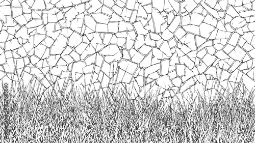 Black and white cracked pattern overlaying tall grass illustration field nature