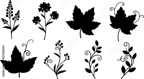 Black silhouette floral leaf vine decorative elements vector set natural design collection