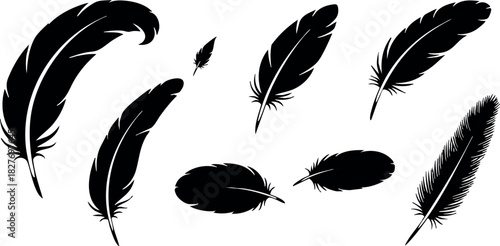 Black feather vector set isolated on white background simple feather shapes collection natural elements design