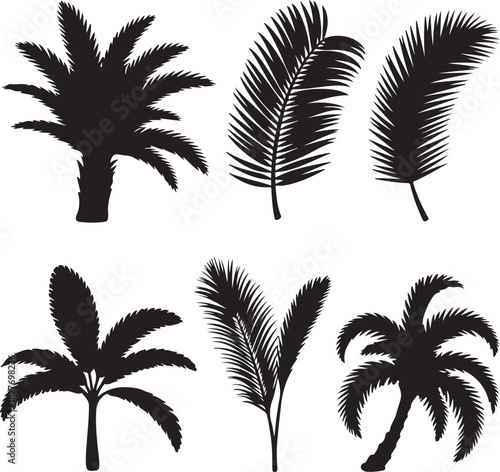 Palm tree silhouettes collection tropical leaves design black and white graphic