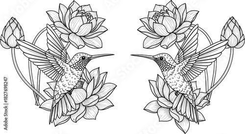 Symmetrical hummingbirds with lotus flowers and buds, elegant nature illustration in black and white line art style, flat vector