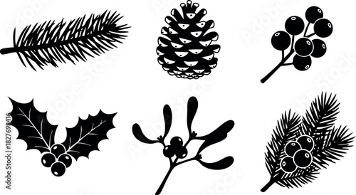 Pine cone evergreen holly mistletoe berry branch winter holiday decoration vector illustration