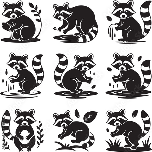 Raccoon vector set in different poses black and white illustration