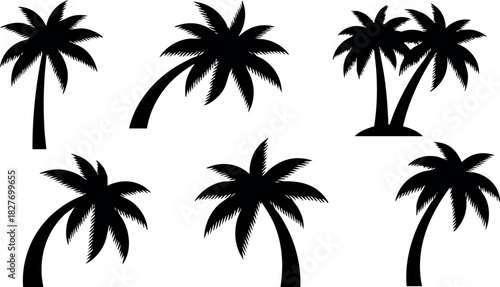 Palm tree silhouettes set tropical leaves summer nature beach vector illustration