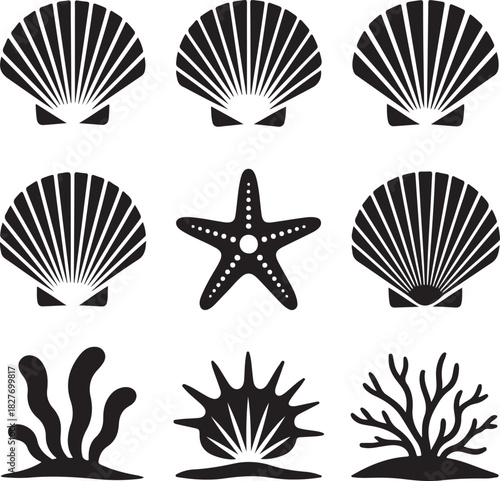 Seashells Starfish and Seaweed Black and White Vector Illustration