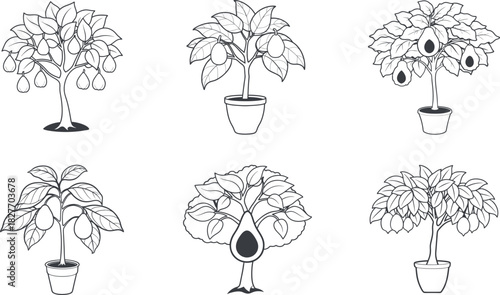 Different poses of avocado tree line art set vector