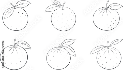 Hand drawn fresh orange fruit with leaf outline vector