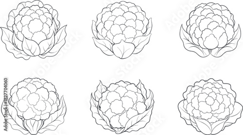 Healthy black and white farm produce coloring page vector