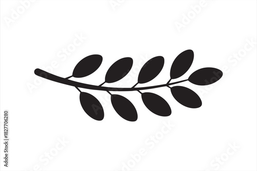Botanical olive sprig vector for organic packaging and culinary design