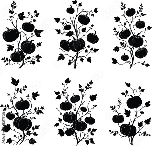 Pumpkin vine silhouette set featuring curling stems leaves and ribbed pumpkins in black ornamental style
