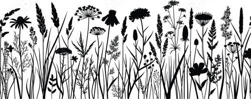 Silhouette Wildflower Meadow Border, Botanical Herbs and Grasses Outline