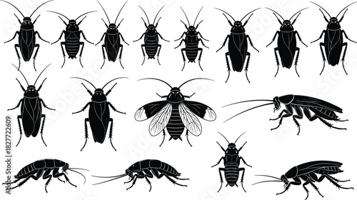 Cockroach Silhouette Set; Black Insects in Various Poses, Top View, Side View, and Flying; Pest Control, Infestation, Hygiene, Vector, and Creepy Crawly Concept Pack.