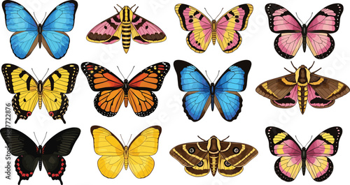 Colorful Butterflies and Moths Collection; Realistic Hand-Drawn Set of Beautiful Flying Insects in Various Colors and Species; Nature, Summer, Spring, and Entomology Vector Illustration.