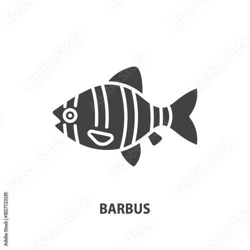 Sumatran barb fish glyph icon. Tiger barbus vector sign.
