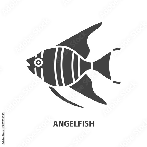 Angelfish glyph icon. Scalare vector sign. Aquarium fish symbol.