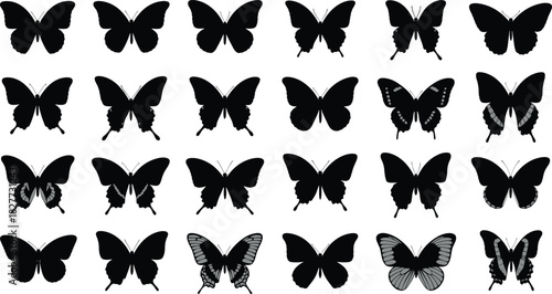 Butterfly silhouettes, insect icons, wing shapes, black vector, entomology study, nature symbols, taxonomy reference, flying insects, pattern comparison