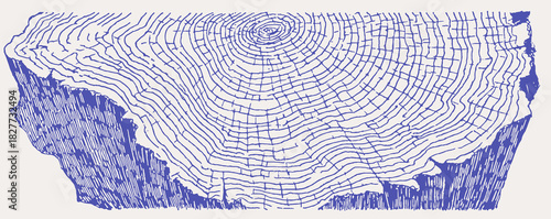 A blue and white drawing of a tree trunk