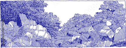 A blue and white drawing of a forest with trees and rocks. The trees are scattered throughout the drawing. vector illustration