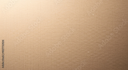 A close up shot showing a textured light brown surface with a gradient from light to dark tone