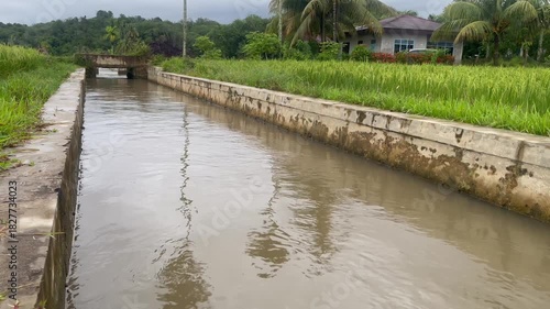 The river flows through beautiful rice fields