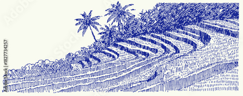 A blue and white drawing of a hillside with palm trees. The palm trees are on the left side of the hill. vector illustration