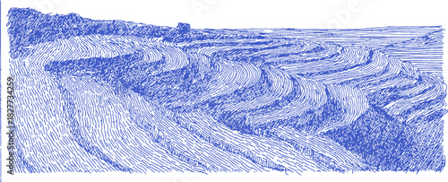 A blue and white drawing of a field with a road running through it. The road is lined with trees and the field is full of crops. vector illustration