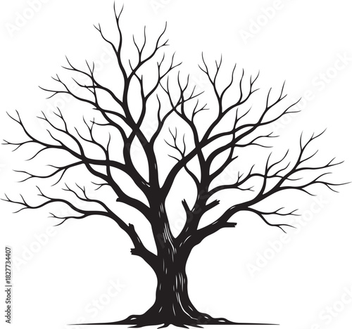 Black silhouette of dead tree without leaves on white background, vector