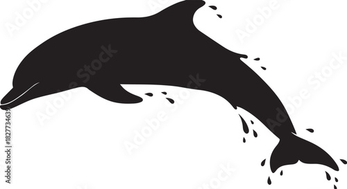 Black silhouette of dolphin jumping on white background, vector