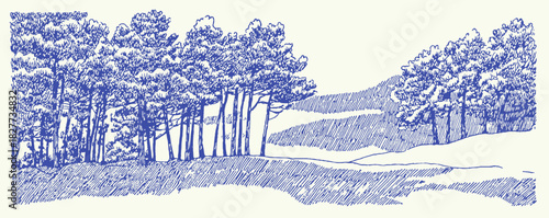 A blue and white drawing of a forest with trees. The trees are in the foreground and the background is a hill. vector illustration