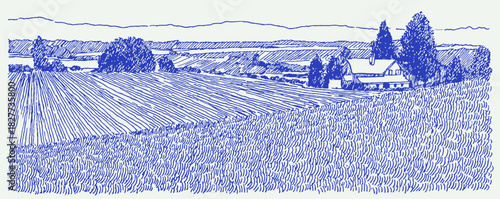 A blue and white drawing of a field with a house in the distance. The house is white and has a red roof. vector illustration