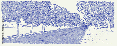 The image is a blue and white drawing of a street with trees lining it. The trees are spaced out evenly along the street. vector illustration