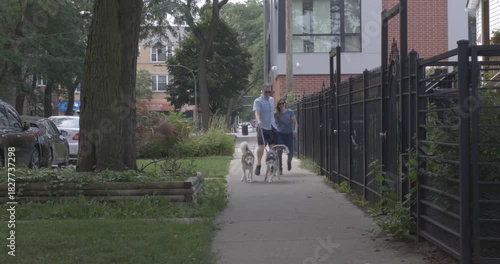 Wallpaper Mural A couple on a walk through the streets of Chicago, Illinois. Walking along the sidewalk with their two energetic dogs. Torontodigital.ca