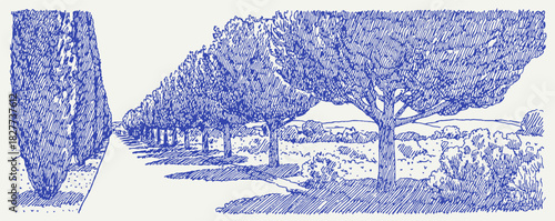 A blue and white drawing of a tree lined path. The trees are lined up in a row and there are several benches along the path. vector illustration