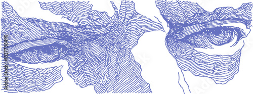 A blue and white drawing of two eyes. The eyes are very close to each other. The drawing is very detailed and has a lot of lines. vector illustration