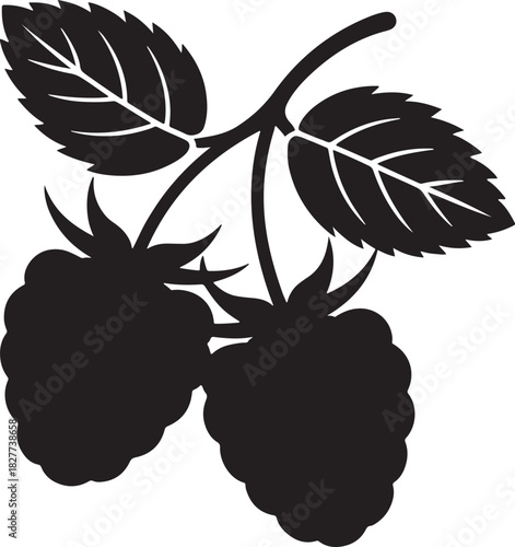 Black Silhouette of Two Raspberries on a Stem with Leaves raspberry fruit