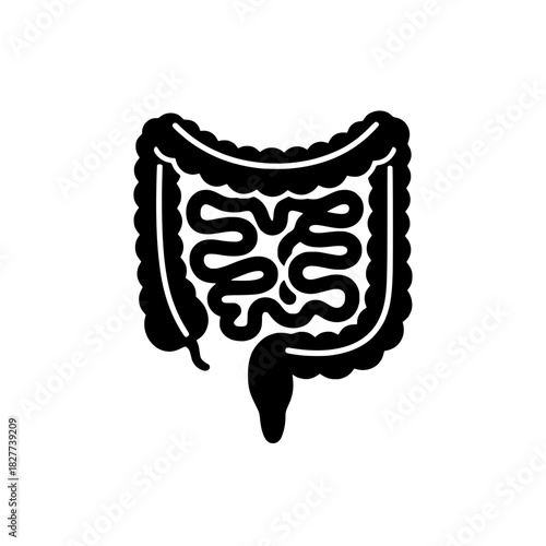 Human Intestines or Digestive Organ System Icon
