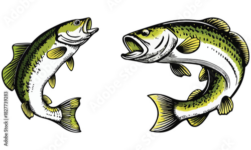Bass Fish Clipart – Largemouth Fishing SVG