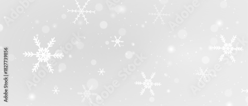 Ice frost snowflake winter frozen cold frame border white transparent decoration pattern.
