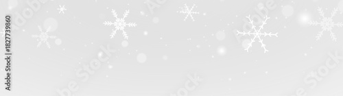 Frost ice snowflake winter frozen cold frame border white transparent decoration pattern.
