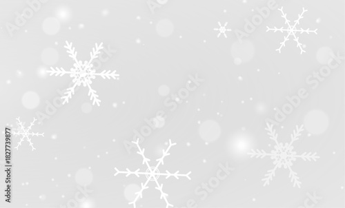 Winter snowflake ice frozen frost cold frame border white transparent decoration pattern.
