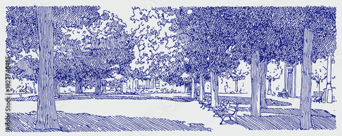 A blue and white drawing of a park with trees and a bench. The trees are in the foreground and background. vector illustration