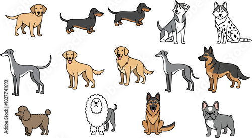 Collection of Diverse Dog Breeds Illustrated in a Simple Flat Style Vector Art, Playful Animals.
