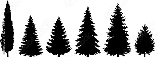 Collection of Diverse Evergreen Tree Silhouettes Pine Spruce Cypress Cedar Various Shapes and Sizes Isolated on White