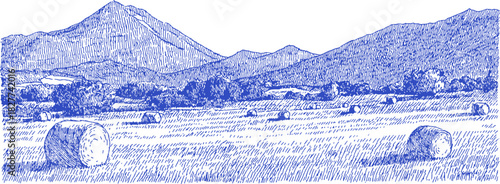 A blue and white drawing of a field with a mountain in the background. There are several hay bales scattered throughout the field. vector illustration