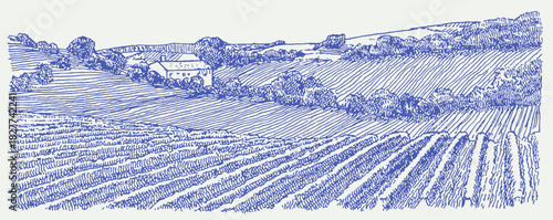 A blue and white drawing of a field with a house in the background. The drawing is in a pixelated style. vector illustration