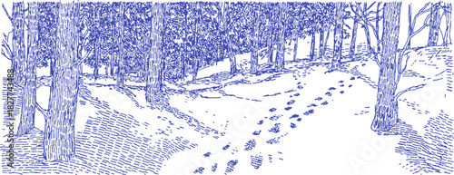 A blue and white drawing of a snowy forest with a path. The path is covered in footprints. vector illustration